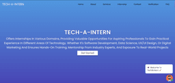 TECH-A-INTERN